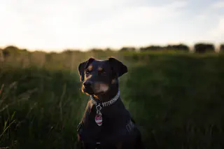 Einfach etwas Menschlichkeit, IT und Musik.